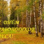 С днем лесного хозяйства!