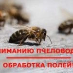 ФХ Прокопьевой Г.А. информирует