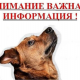 О минимизации рисков предотвращения причинения животными без владельцев вреда жизни или здоровью граждан